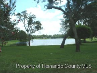 4548 Lake In The Woods Dr, Spring Hill, Florida  Image #7240769