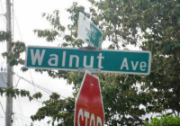 28 Walnut Avenue, Shalimar, FL Image #7292423