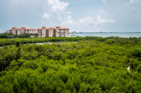 photo for 4750 DOLPHIN CAY LN # 408