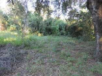 18710 Se 19th St, Silver Springs, Florida  Image #7361034