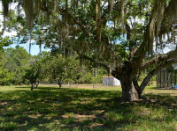 916 Hibiscus Dr, Indian Lake Estates, Florida  Image #7372189