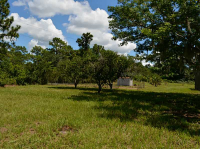 916 Hibiscus Dr, Indian Lake Estates, Florida  Image #7372188