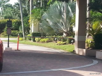 13444 Whispering Lakes, Palm Beach Gardens, FL Image #7407227