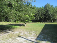 4062 SW Old Wire Rd, Fort White, FL Image #7437042