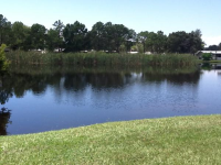 8914 Waterway Dr., Tampa, FL Image #7457493