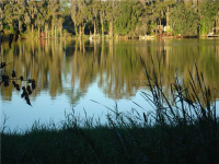 20935 RAGAN LN, Land O Lakes, FL Image #7461576
