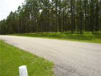 Pony Pond Road, Dade City, FL Image #7467077