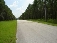 Pony Pond Road, Dade City, FL Image #7467072