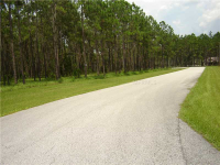 Pony Pond Road, Dade City, FL Image #7467079