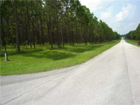 Pony Pond Road, Dade City, FL Image #7467083