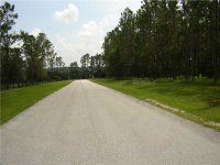 Pony Pond Road, Dade City, FL Image #7467070