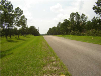Pony Pond Road, Dade City, FL Image #7467088