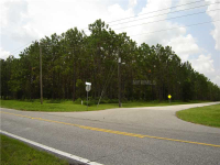 Pony Pond Road, Dade City, FL Image #7467068