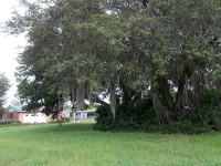 308 CLEARWATER AVE, Polk City, FL Image #7491717