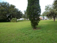 308 CLEARWATER AVE, Polk City, FL Image #7491726