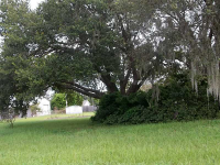 308 CLEARWATER AVE, Polk City, FL Image #7491718