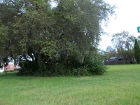 308 CLEARWATER AVE, Polk City, FL Image #7491716