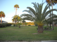 415 Palm Drive, Flagler Beach, FL Image #7554355