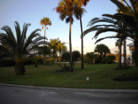 415 Palm Drive, Flagler Beach, FL Image #7554354