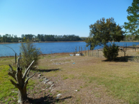 1113 Junior Lake Dr, Interlachen, FL Image #8524038
