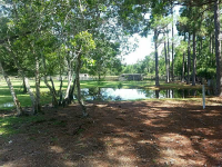 1400 Flatwoods Rd, Mims, FL Image #8545079