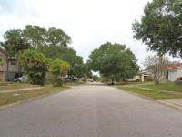 720 Crimson King Terrace, Tarpon Springs, FL Image #8634884