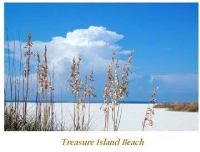 11000 Gulf Blvd #704, Treasure Island, FL Image #8862356