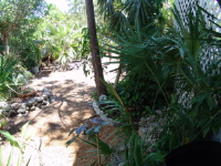 29857 Tropical Trader Road, Big Pine Key, FL Image #9633218