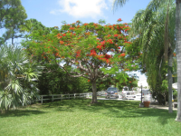 86 Cunningham Ln, Big Pine Key, FL Image #9633345