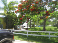 86 Cunningham Ln, Big Pine Key, FL Image #9633349