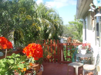 29827 Tropical Trader Road, Big Pine Key, FL Image #9633372