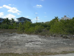 Lot 67 Powell Rd, Little Torch Key, FL Main Image