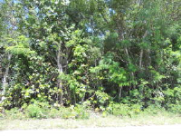 Lot 18 Dolphin Road, Ramrod Key, FL Image #9634475