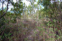 LOT 8 St Martin Lane, Ramrod Key, FL Image #9634511