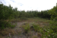 LOT 8 St Martin Lane, Ramrod Key, FL Image #9634515