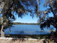 130 Darkwater Lake Road, Hawthorne, FL Image #9665262