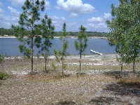 238 Cue Lake Drive, Hawthorne, FL Image #9665684