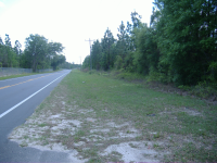 North SR 21, Hawthorne, FL Image #9665826