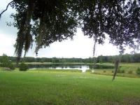 170 Ashley Lake Dr, Melrose, FL Image #9667190