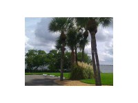 2980 HAINES BAYSHORE RD #135, Clearwater, FL Image #9747416