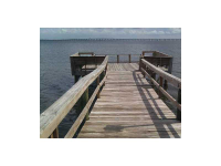 2980 HAINES BAYSHORE RD #135, Clearwater, FL Image #9747417