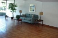 2595 Countryside Blvd.#8203, Clearwater, FL Image #10058272