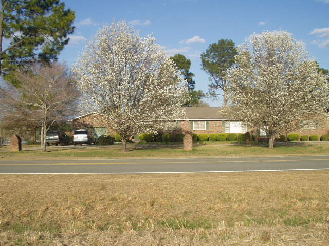 1563 New Bethel Rd, Davisboro, GA Main Image