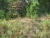 photo for LOT 122 THE PRESERVE