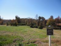 photo for Lot 35 Pod S,of Braselton