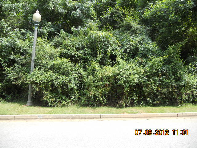 Lot4 Longcreek Drive, Riverdale, GA Main Image