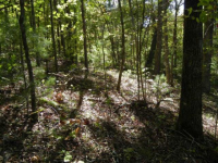 photo for Lot 1663 Hunter Dr