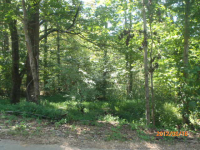 photo for Lot 1 Country Acres