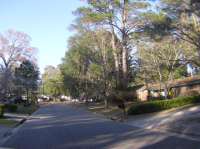 9316 Dunwoody Drive, Savannah, GA Image #6377222