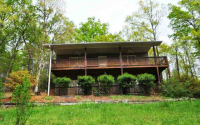 45 Sun Valley Dr, Mineral Bluff, Georgia  Image #6866626